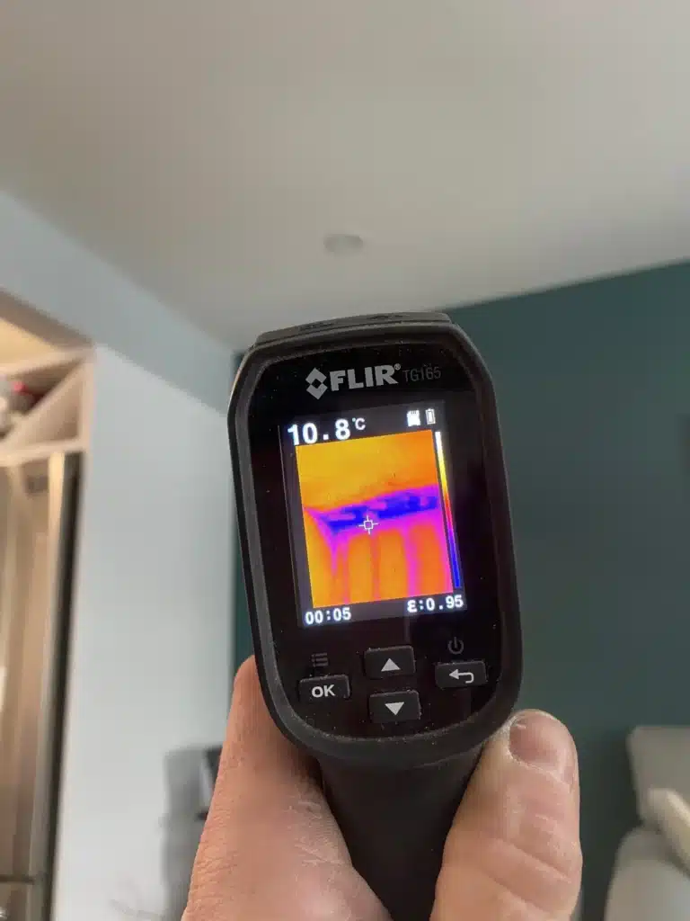 thermal-image-assessment-moose-jaw-sk-768x1024-1